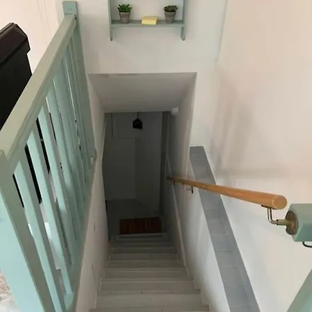 Souplex 50m Et Commerces * הולגאט