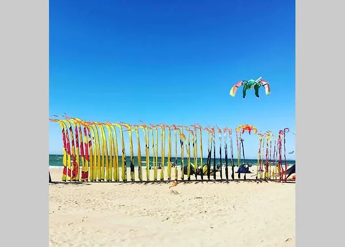 Souplex 50m Et Commerces * הולגאט