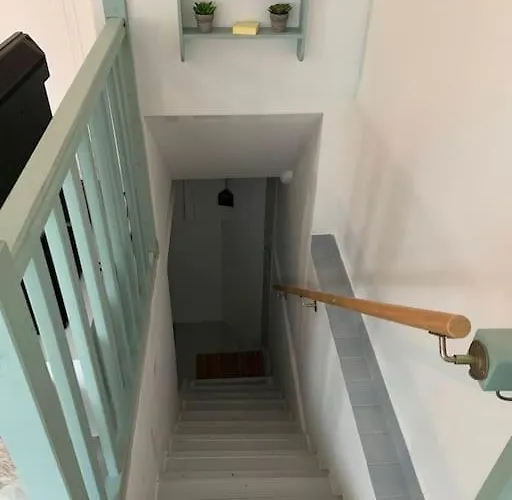 Souplex 50m Et Commerces * הולגאט